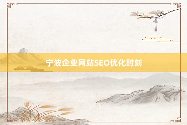 宁波企业网站SEO优化时刻