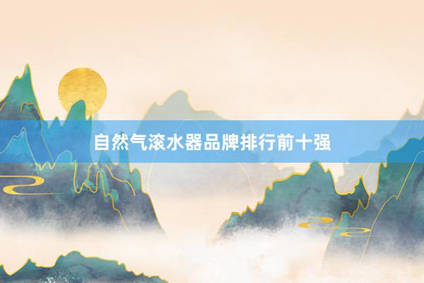自然气滚水器品牌排行前十强