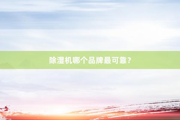除湿机哪个品牌最可靠？