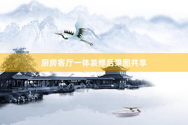 厨房客厅一体装修后果图共享