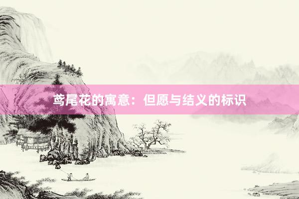 鸢尾花的寓意：但愿与结义的标识