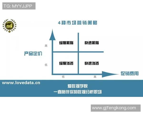 红桃国际用户行为分析报告及其对市场策略的影响研究