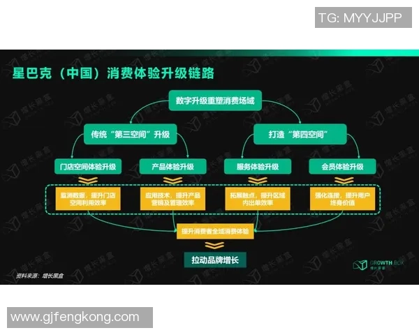 星空娱乐创新服务引领行业新潮流助力用户体验全面升级