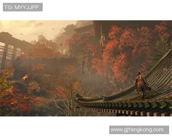 彩神Vll问题反馈渠道的有效使用与优化建议探讨