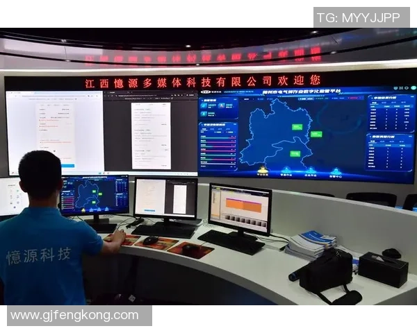 探索红桃国际DAO治理机制的创新与实践路径分析