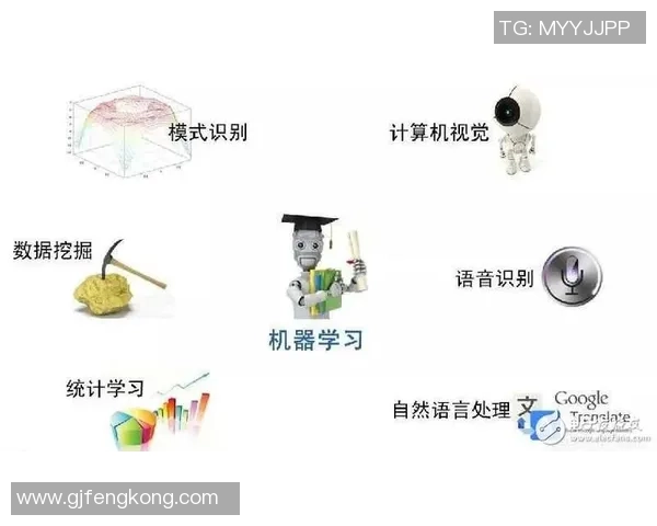 红桃国际在对抗性机器学习领域的创新探索与应用实践分析
